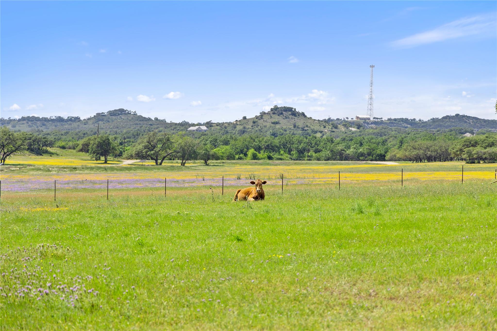 3758 N US Hwy 281