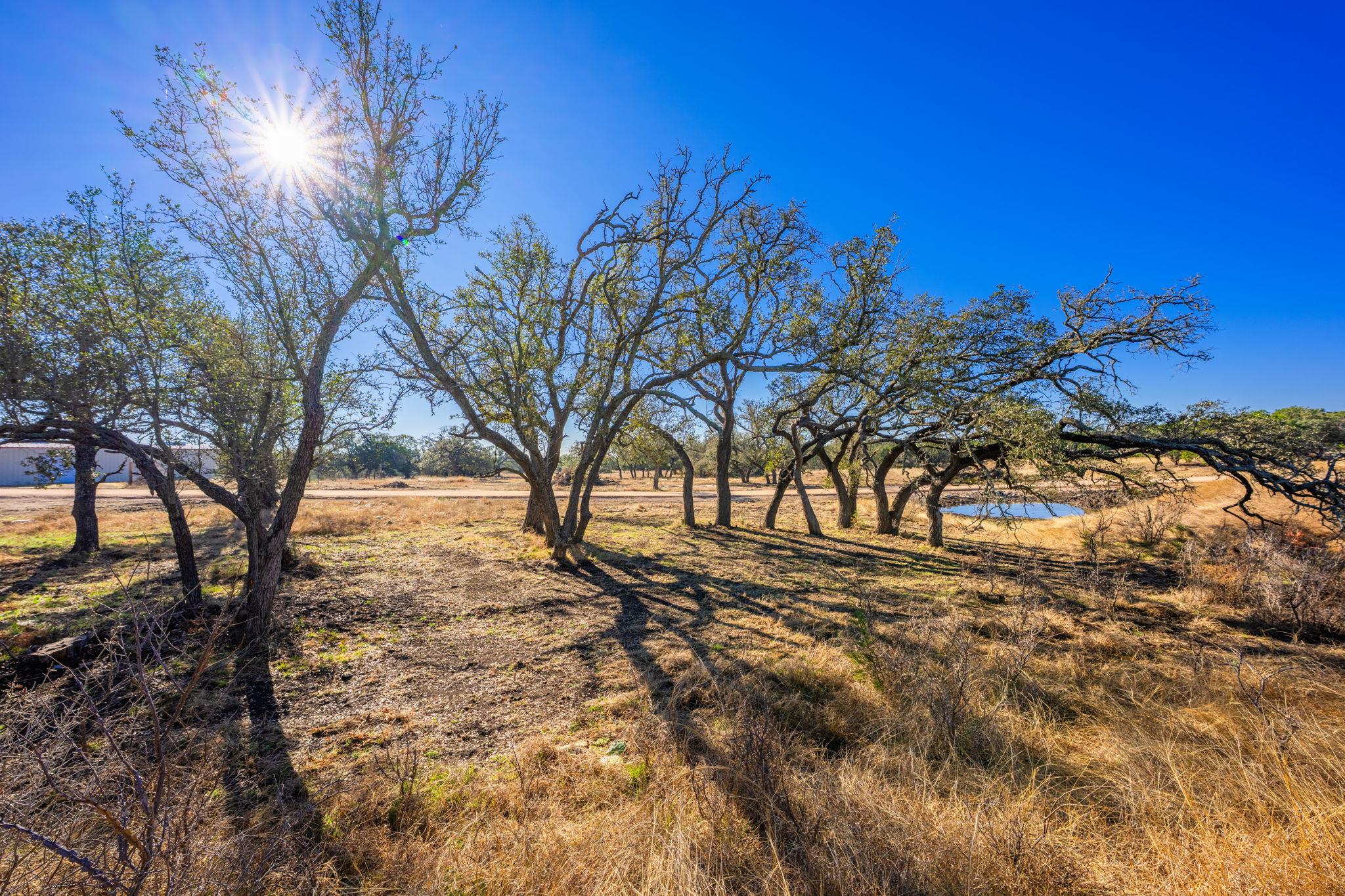 4772 County Road 340