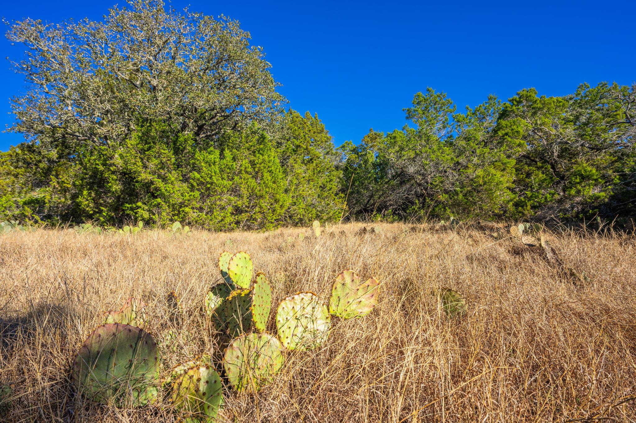 4772 County Road 340