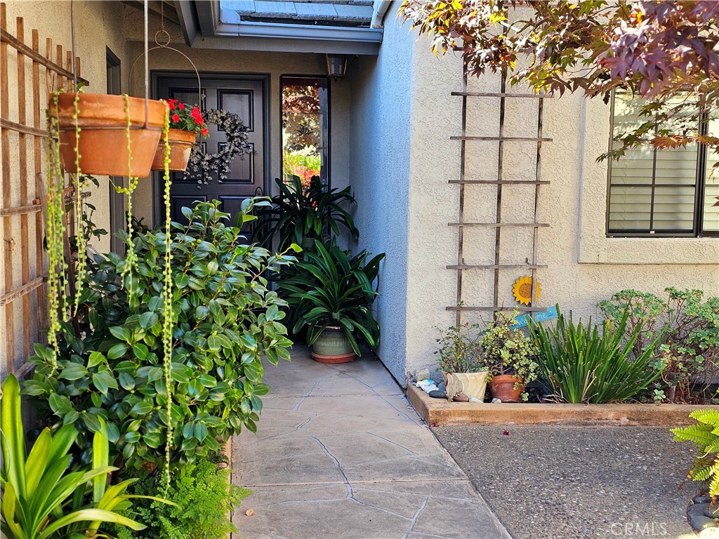 282 Tempus Circle
