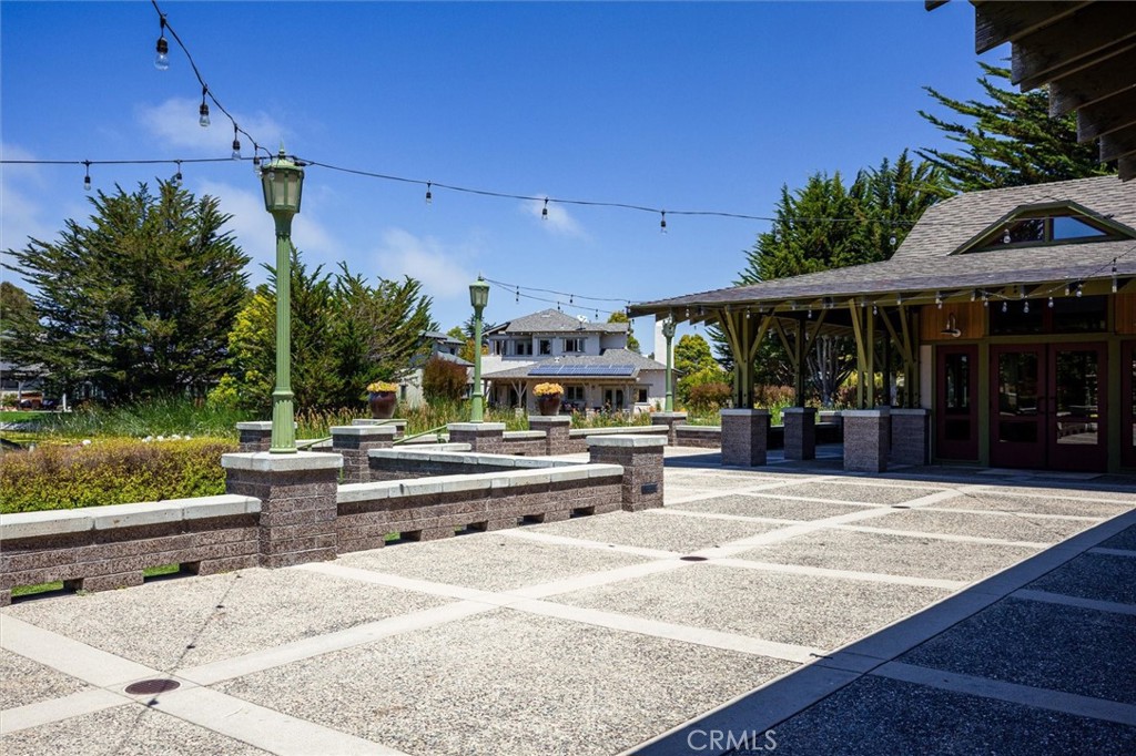 675 Avocet