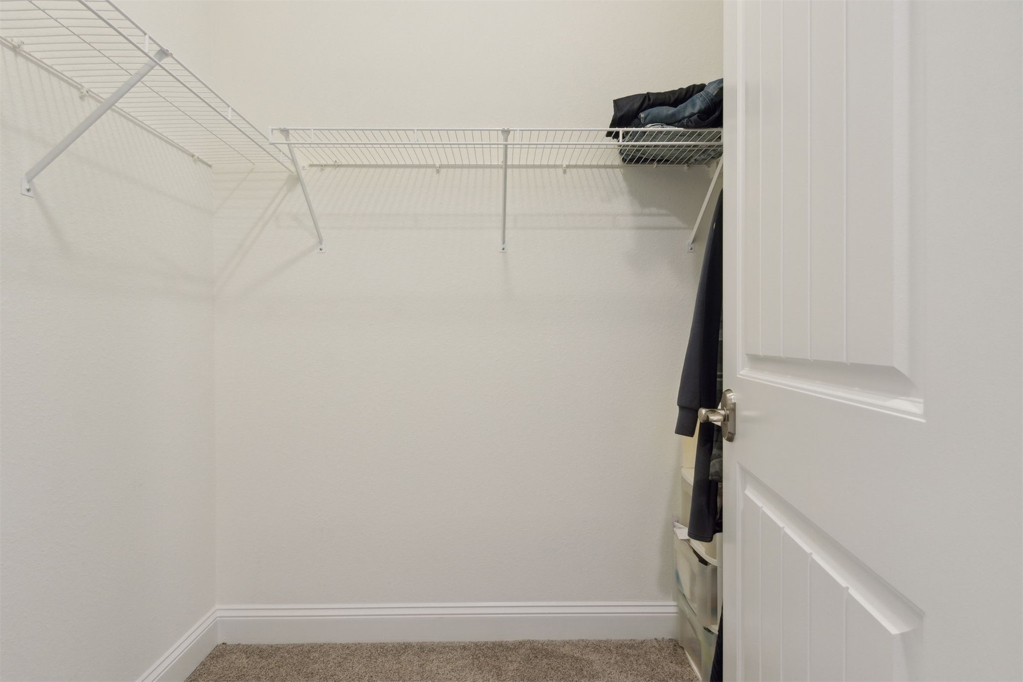 1981 AMELIA OAKS DRIVE