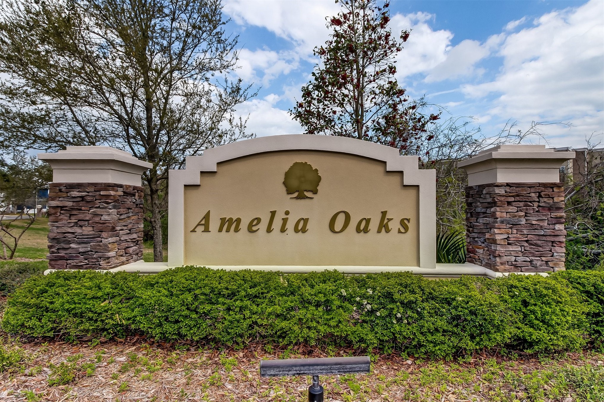 1981 AMELIA OAKS DRIVE