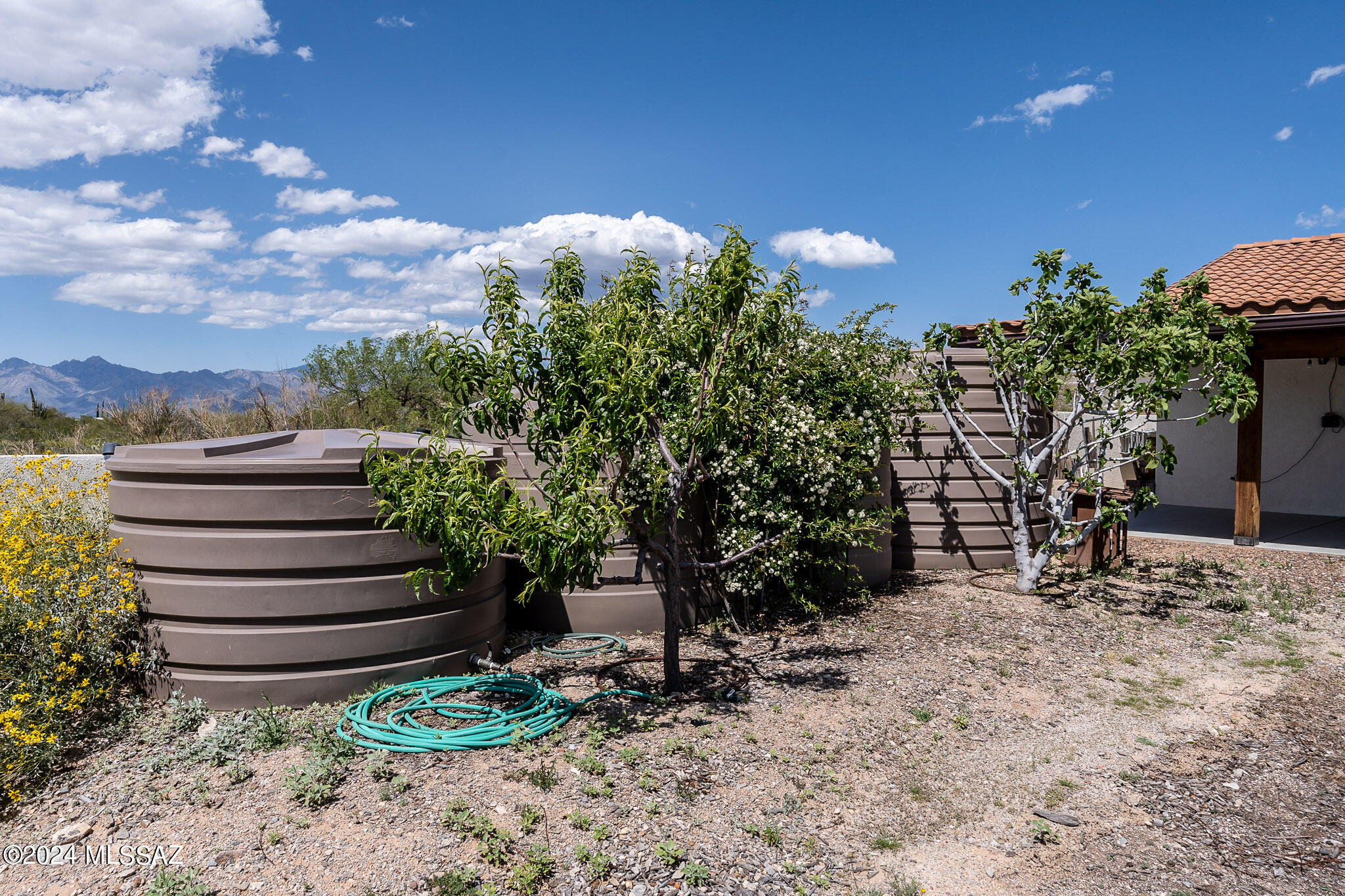 3399 S Saguaro Shadows Drive