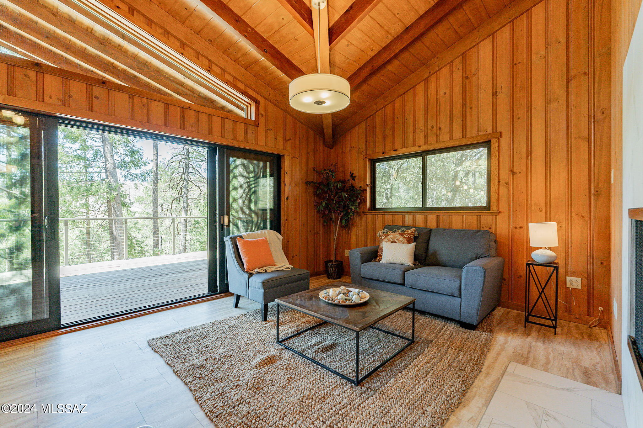 12520 N Middle Sabino Road, Mt. Lemmon