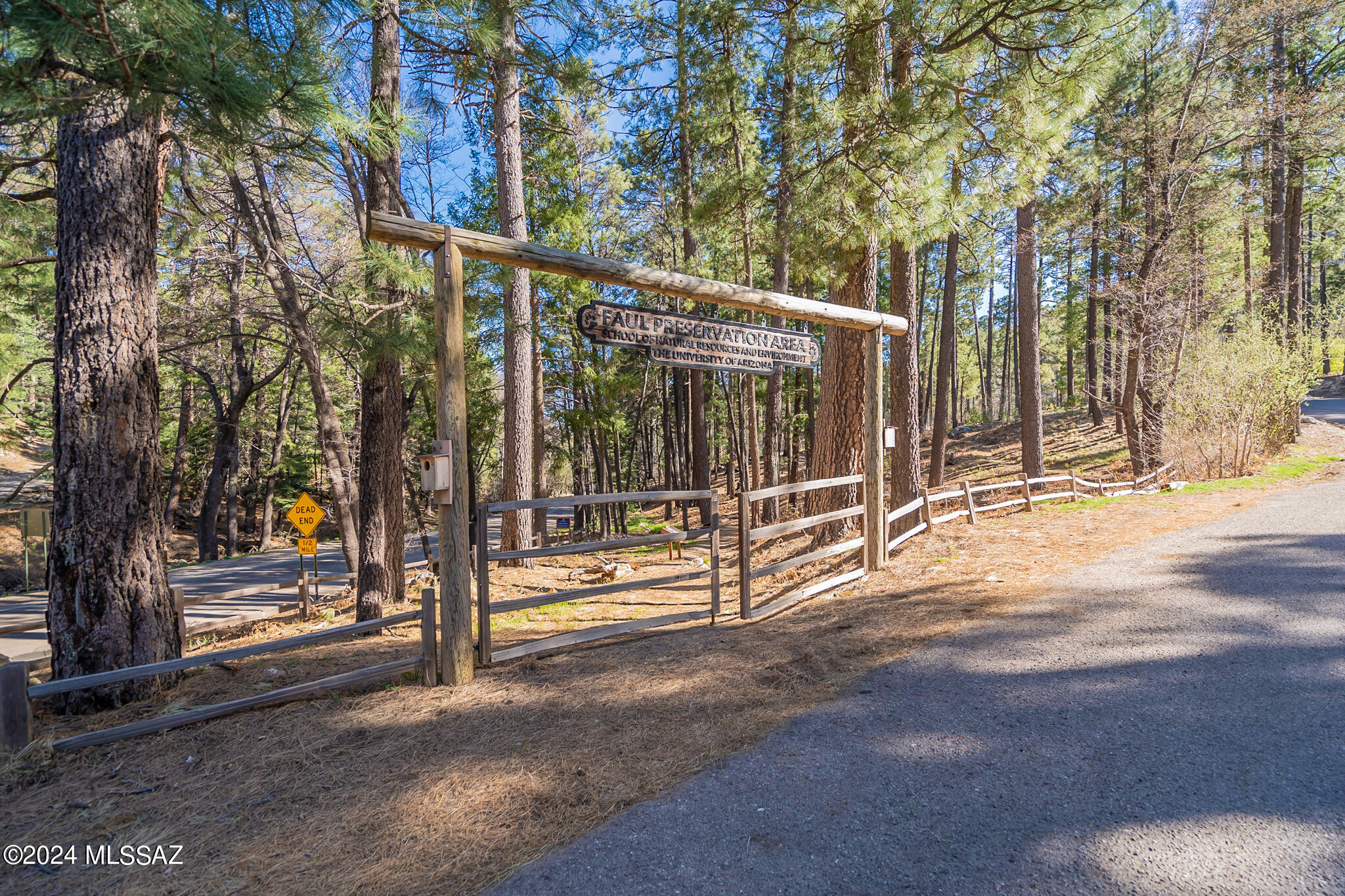 12520 N Middle Sabino Road, Mt. Lemmon