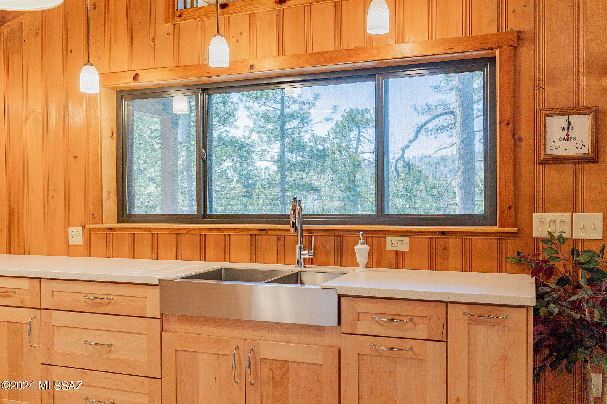 12520 N Middle Sabino Road, Mt. Lemmon