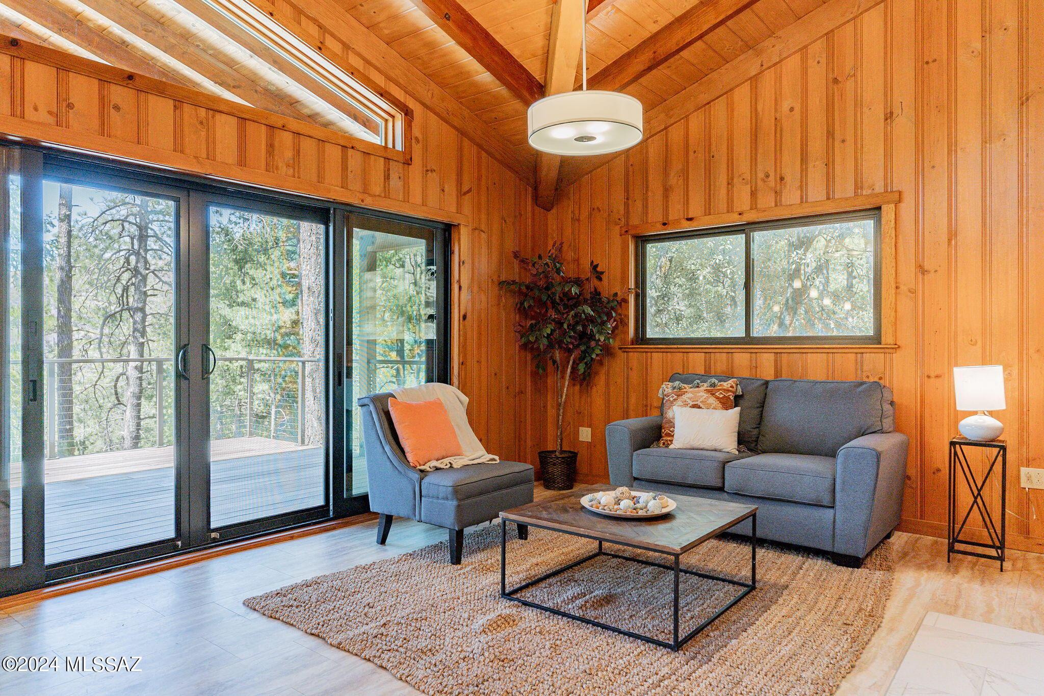 12520 N Middle Sabino Road, Mt. Lemmon