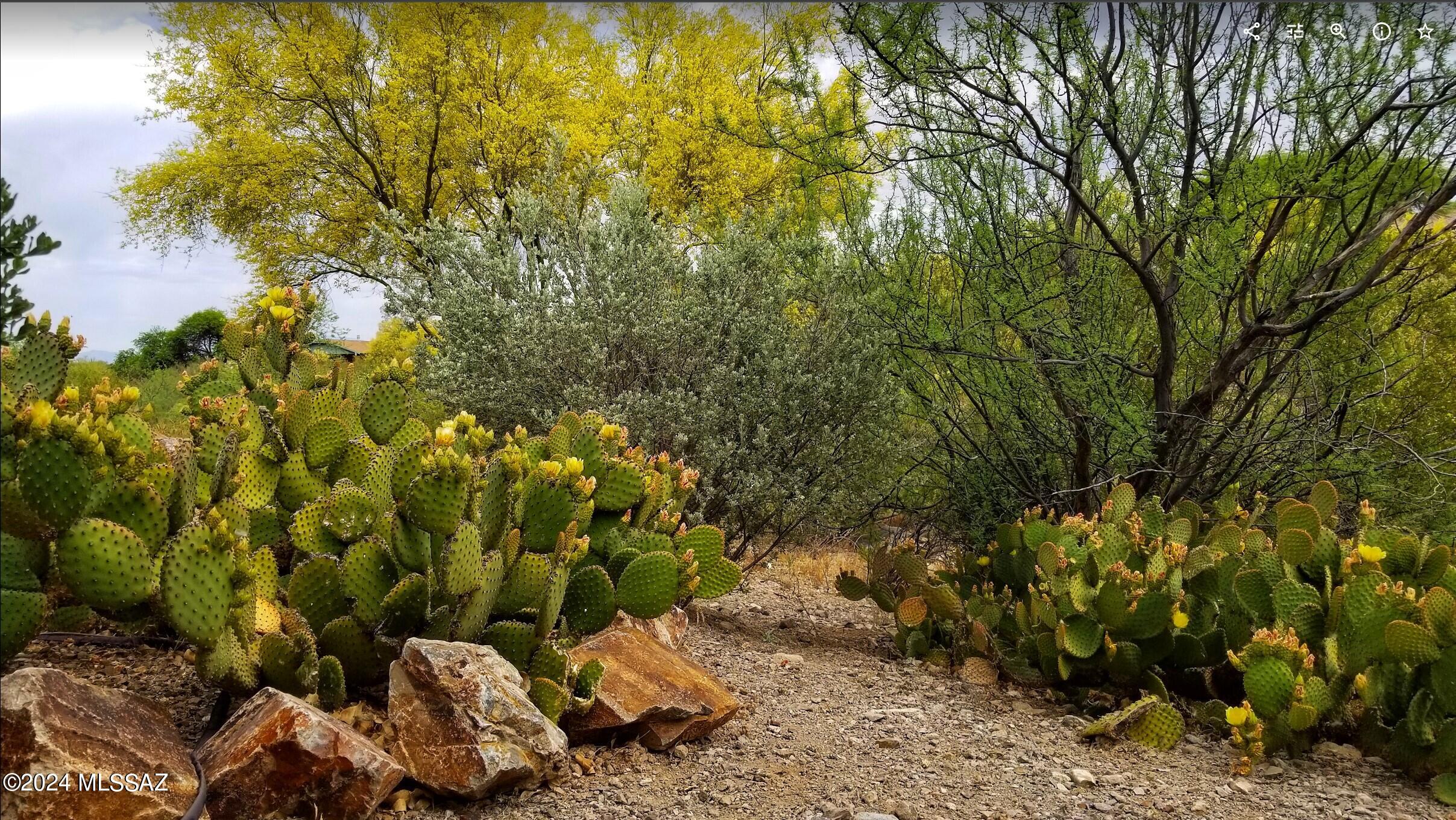 5302 W Avenida Comba