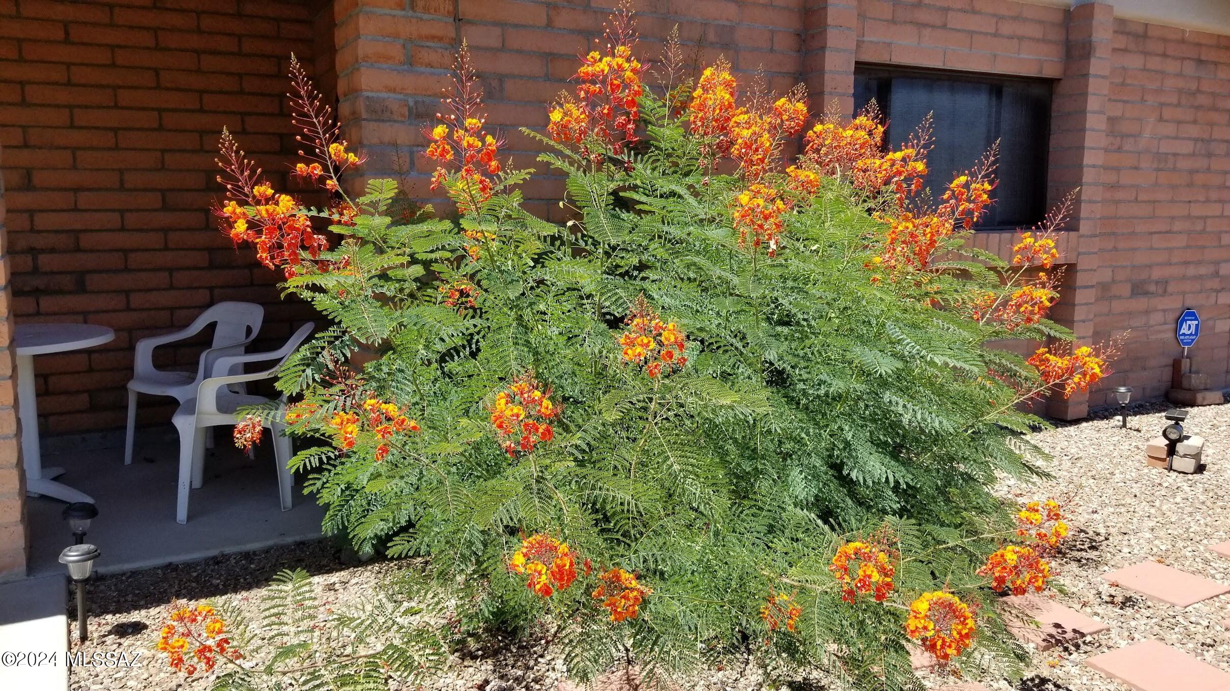 5302 W Avenida Comba