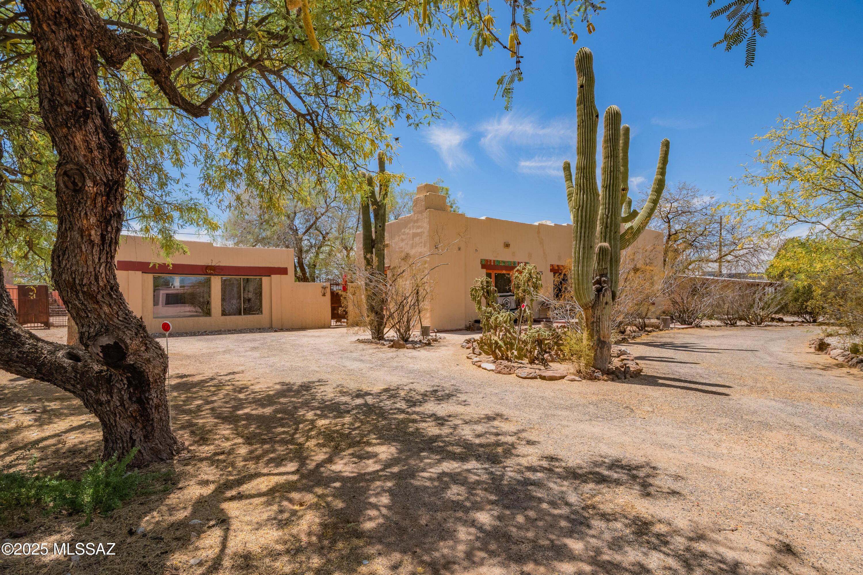 3956 E Camino De Palmas