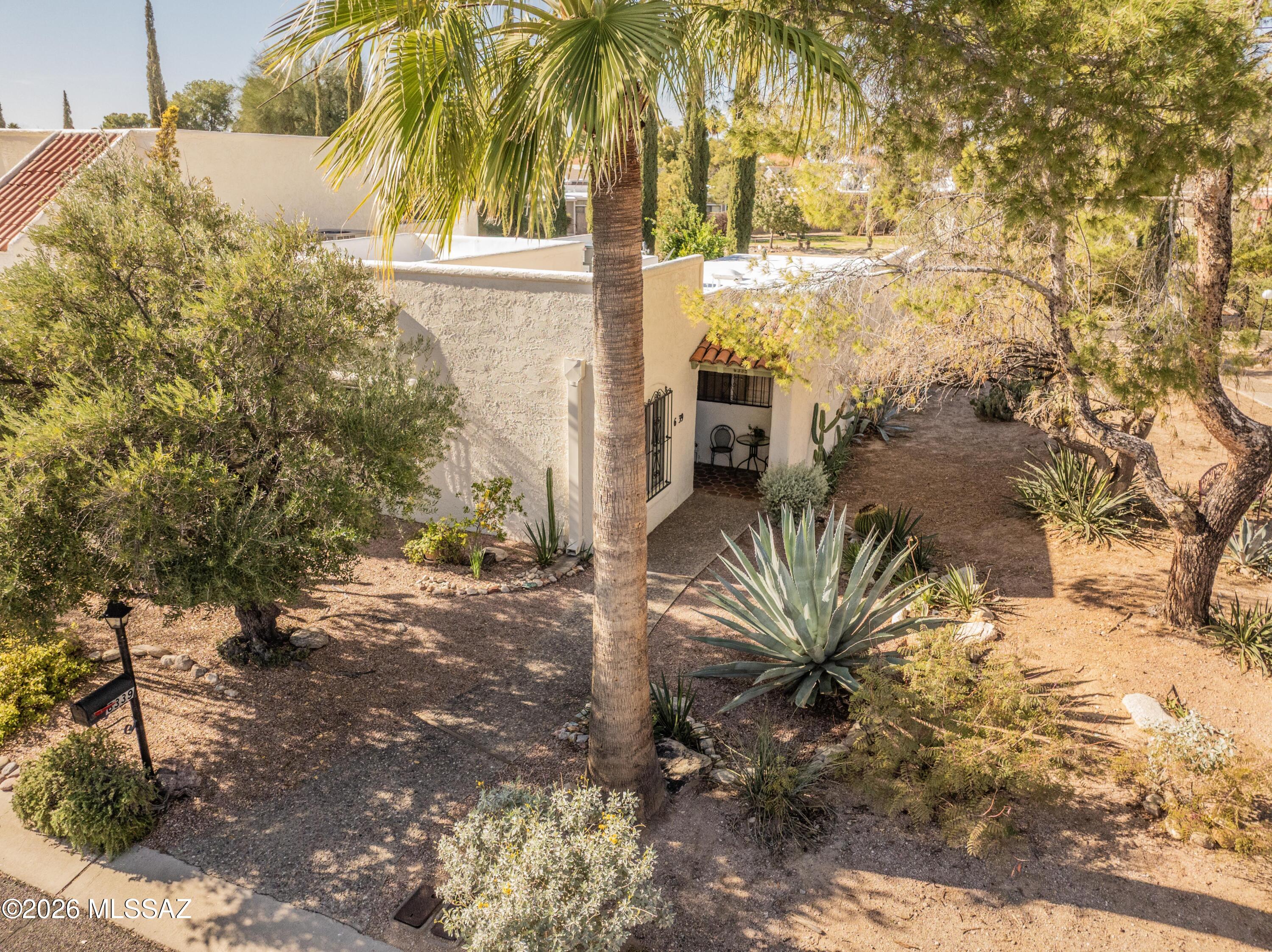 6339 N Orange Tree Drive