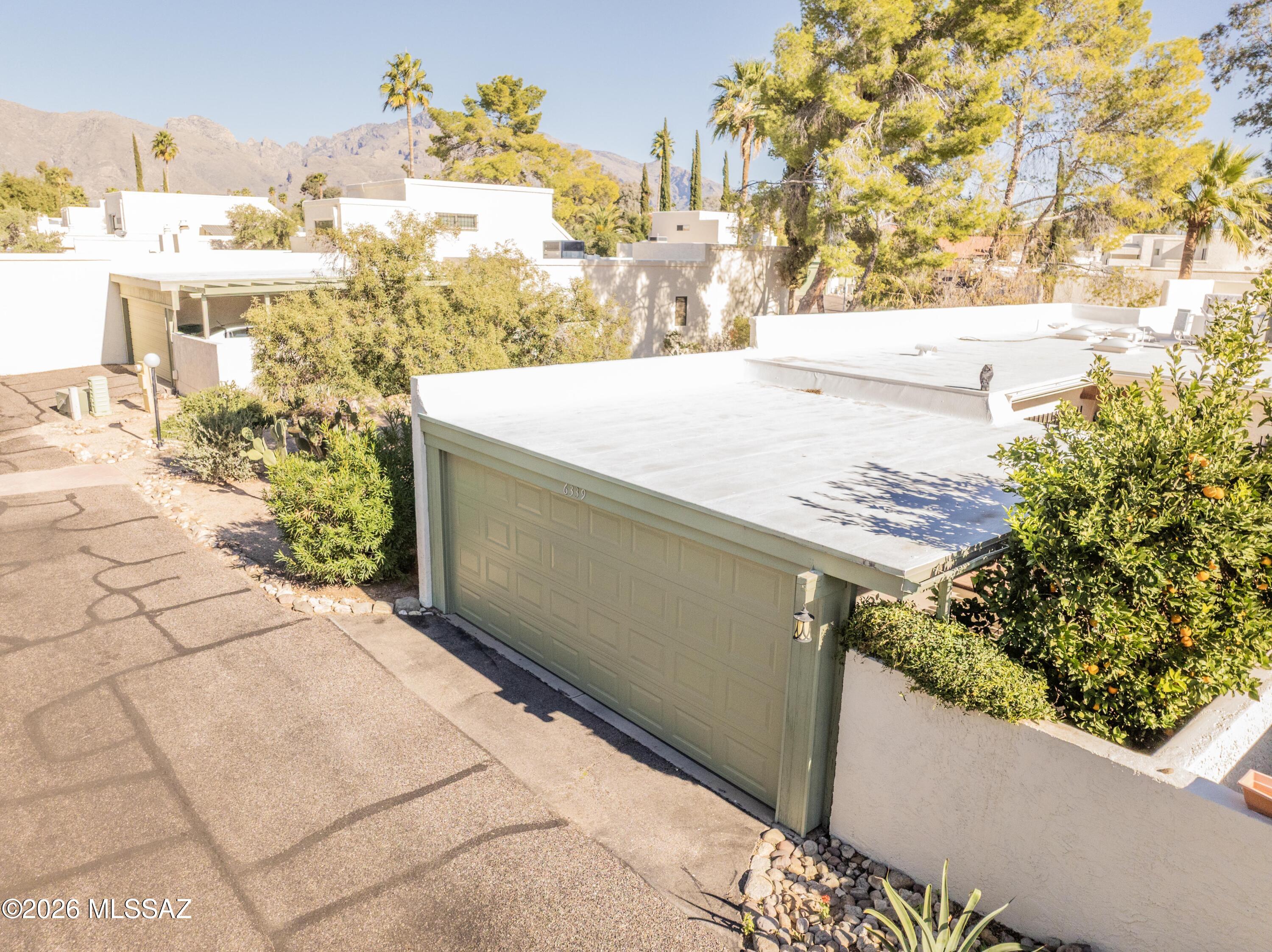 6339 N Orange Tree Drive