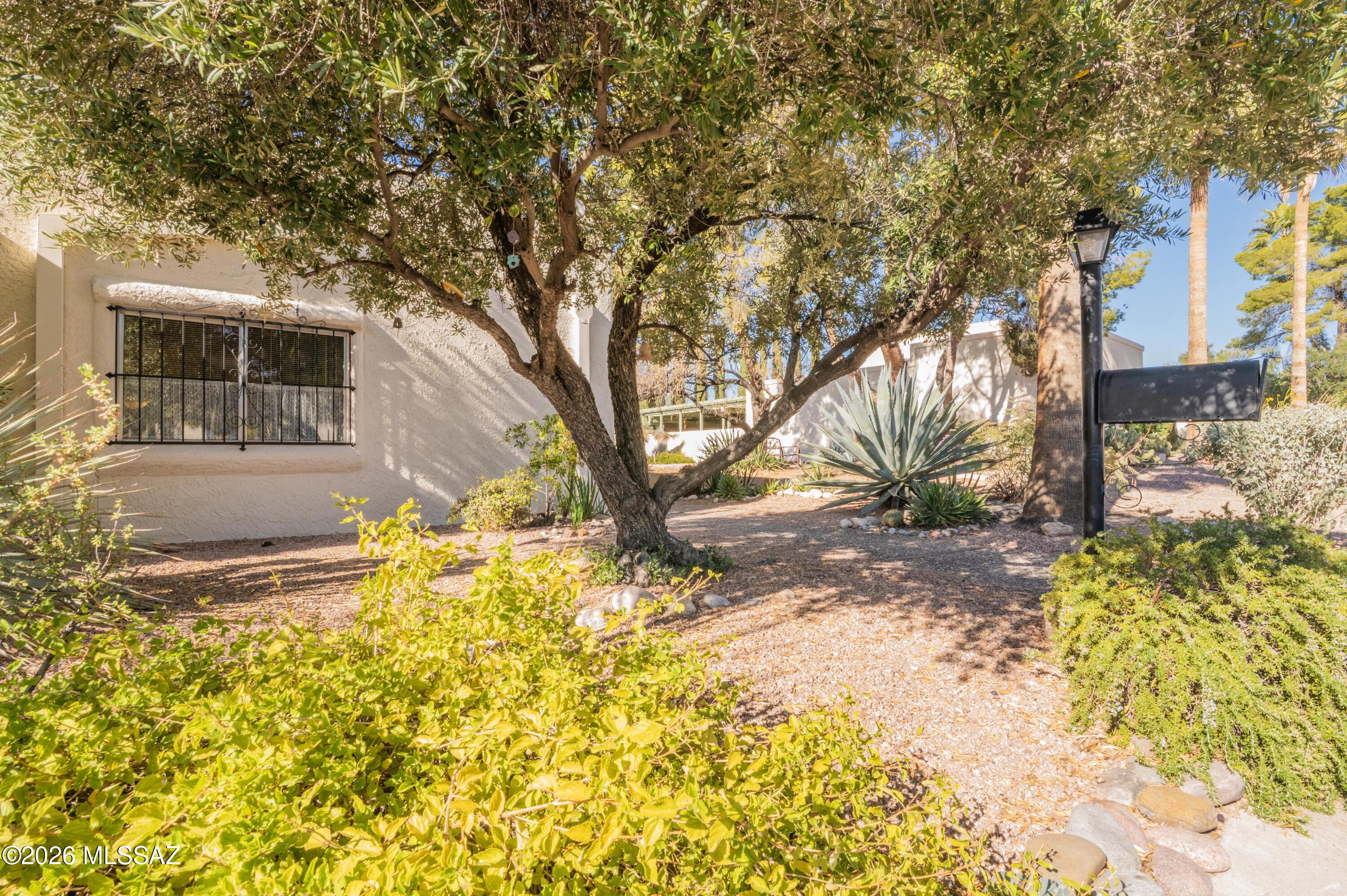 6339 N Orange Tree Drive