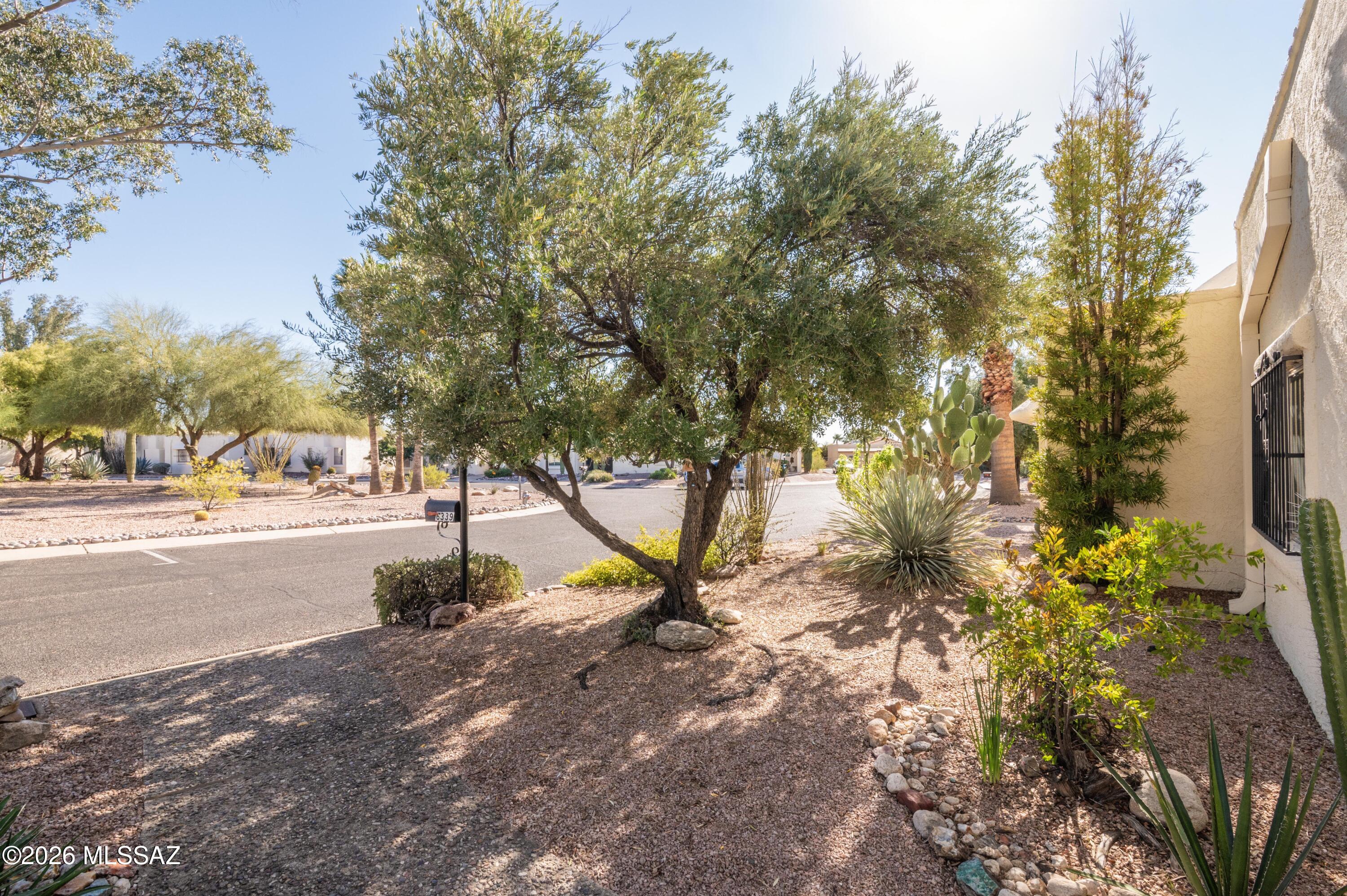 6339 N Orange Tree Drive
