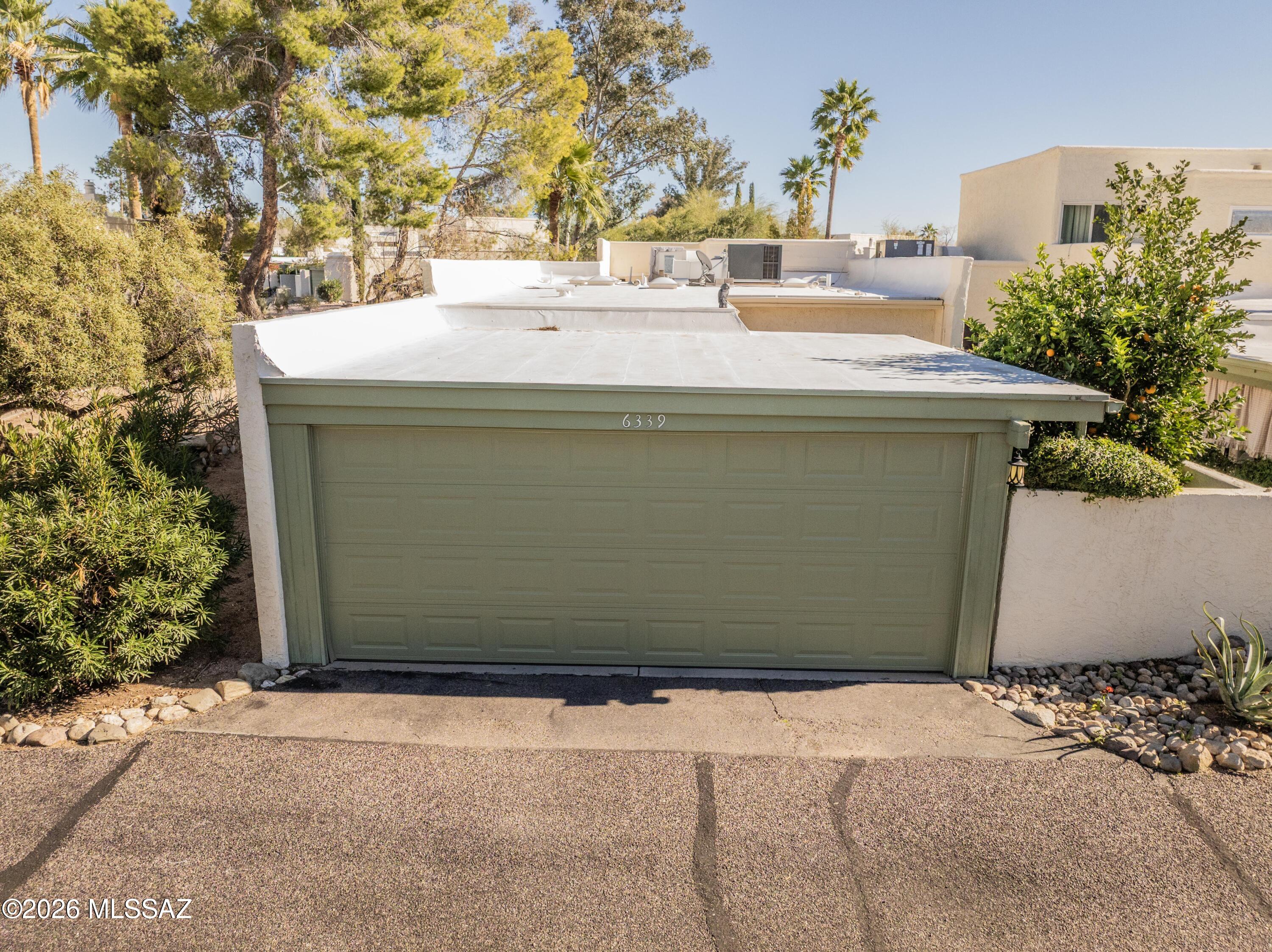 6339 N Orange Tree Drive