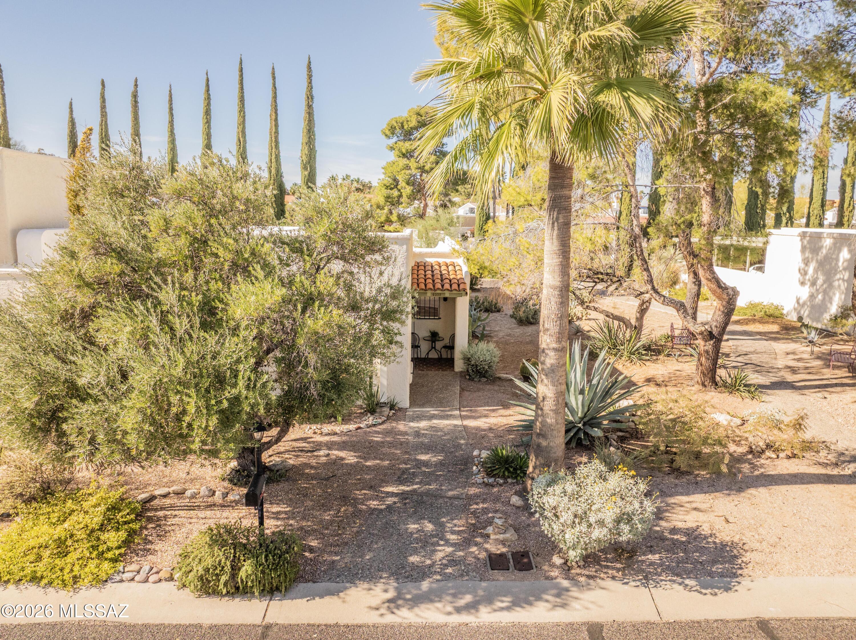 6339 N Orange Tree Drive