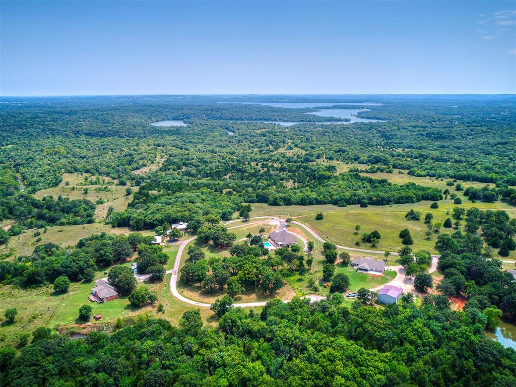 Ponderosa Drive