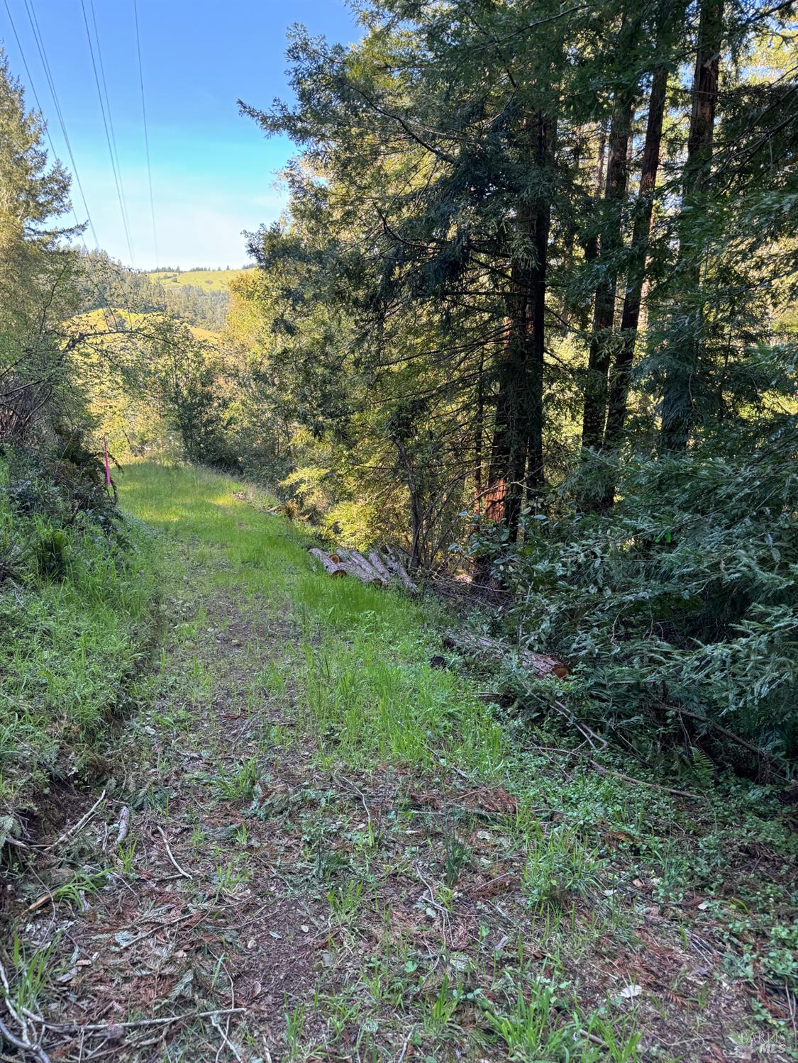 5 Meadow View Ln