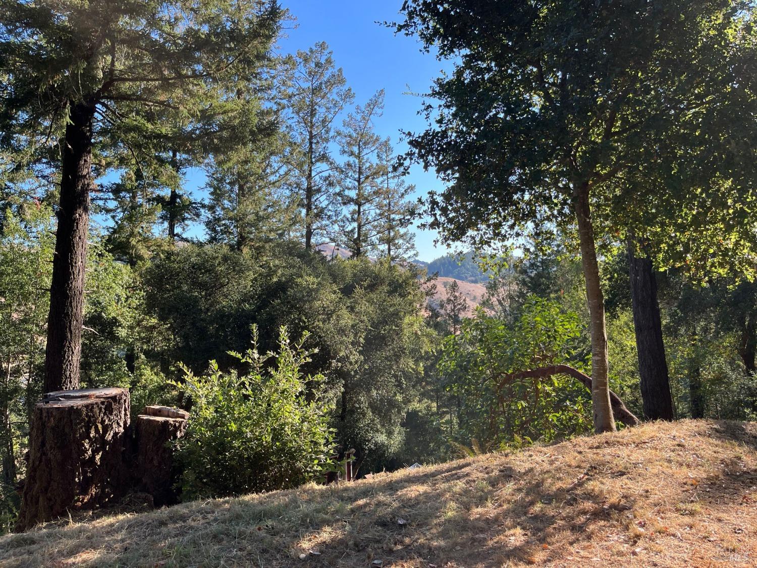 6451 Sir Francis Drake Blvd