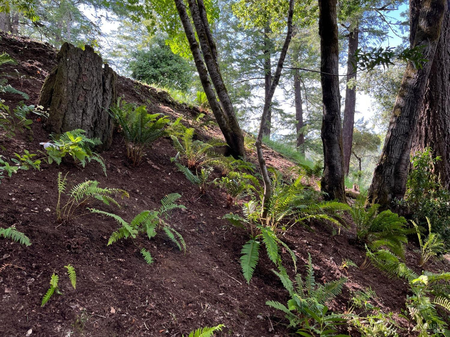 6451 Sir Francis Drake Blvd