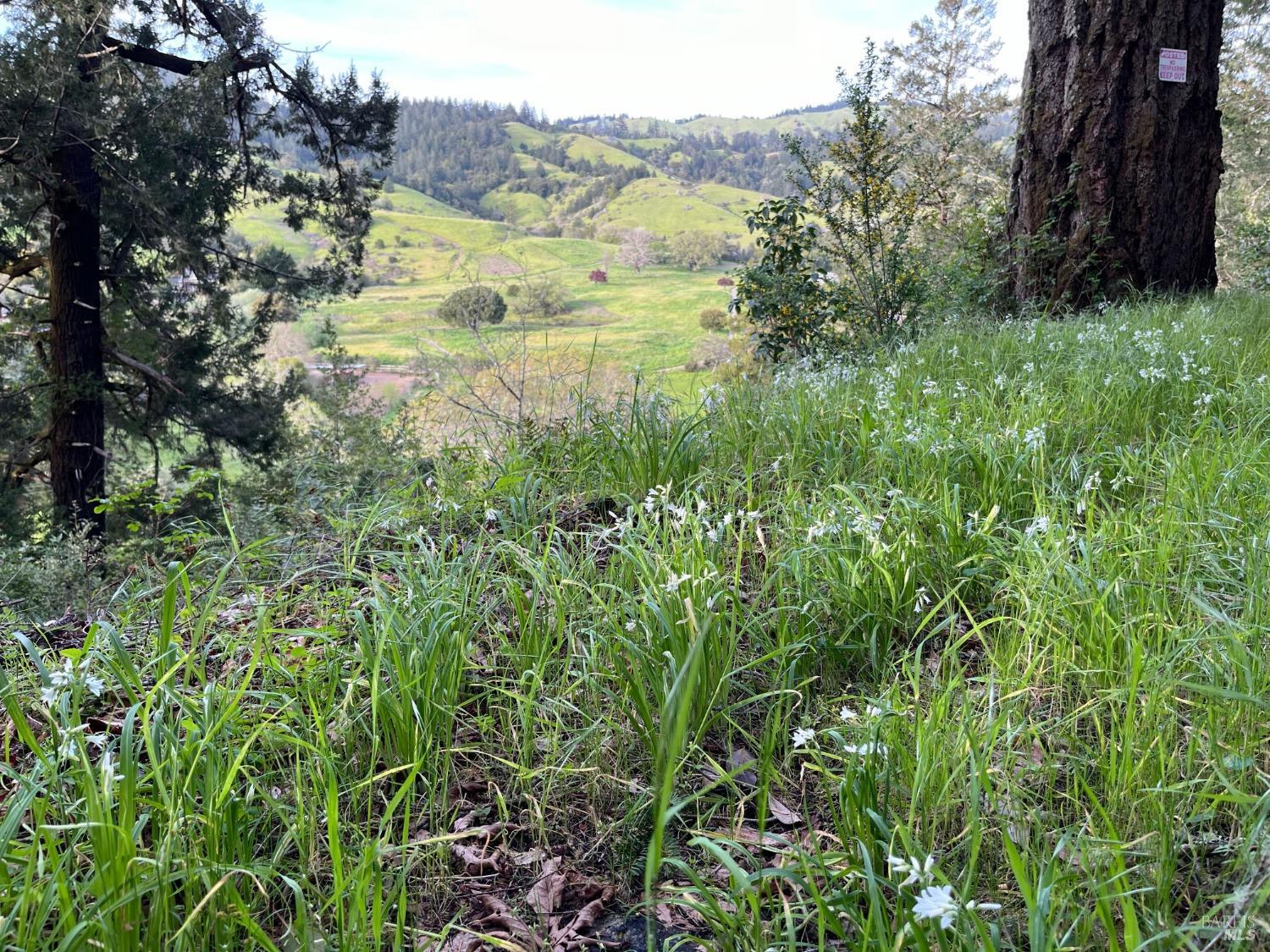 6451 Sir Francis Drake Blvd