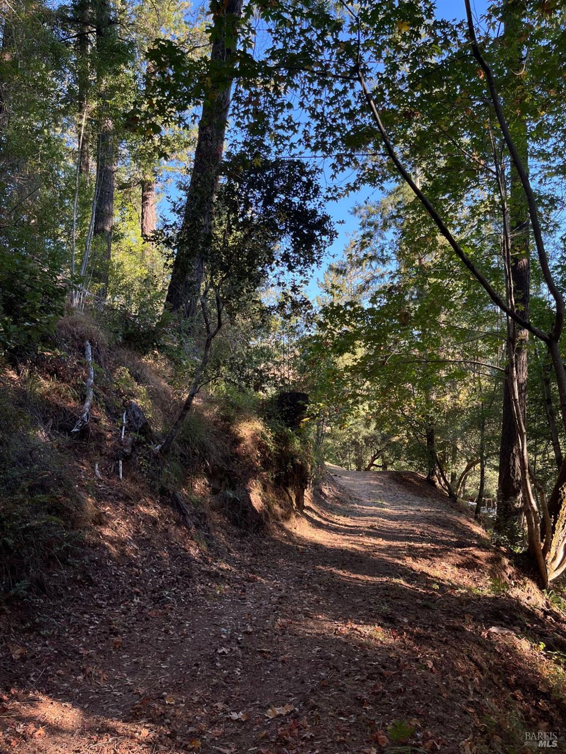 6451 Sir Francis Drake Blvd