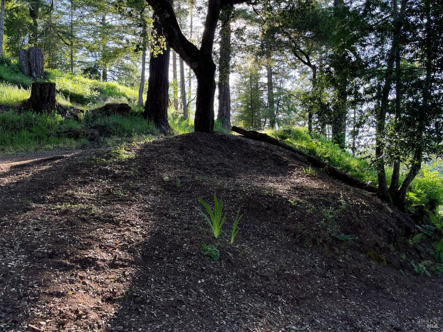 6451 Sir Francis Drake Blvd