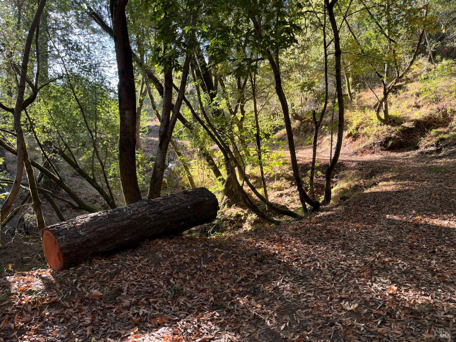 6451 Sir Francis Drake Blvd