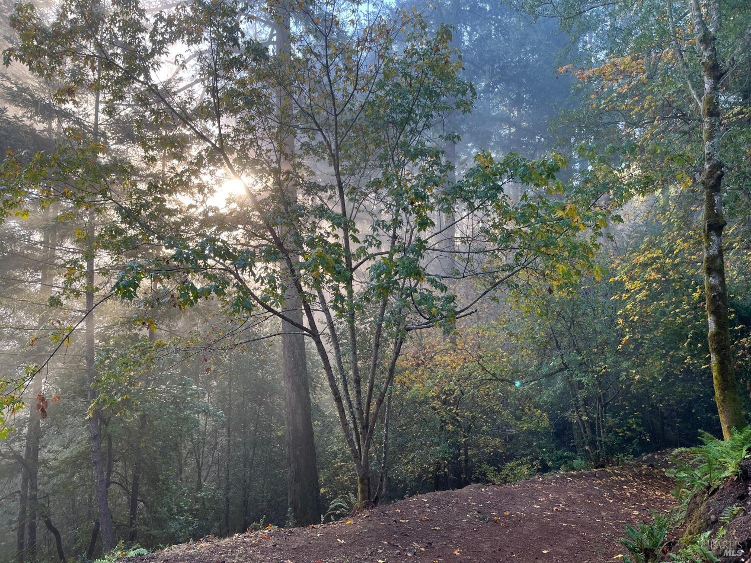 6451 Sir Francis Drake Blvd