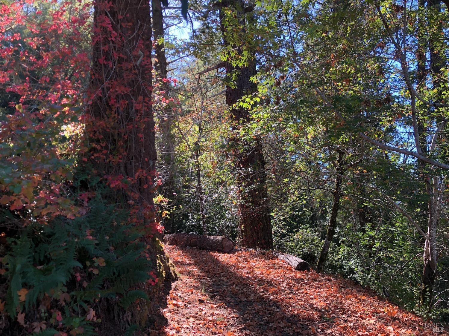 6451 Sir Francis Drake Blvd