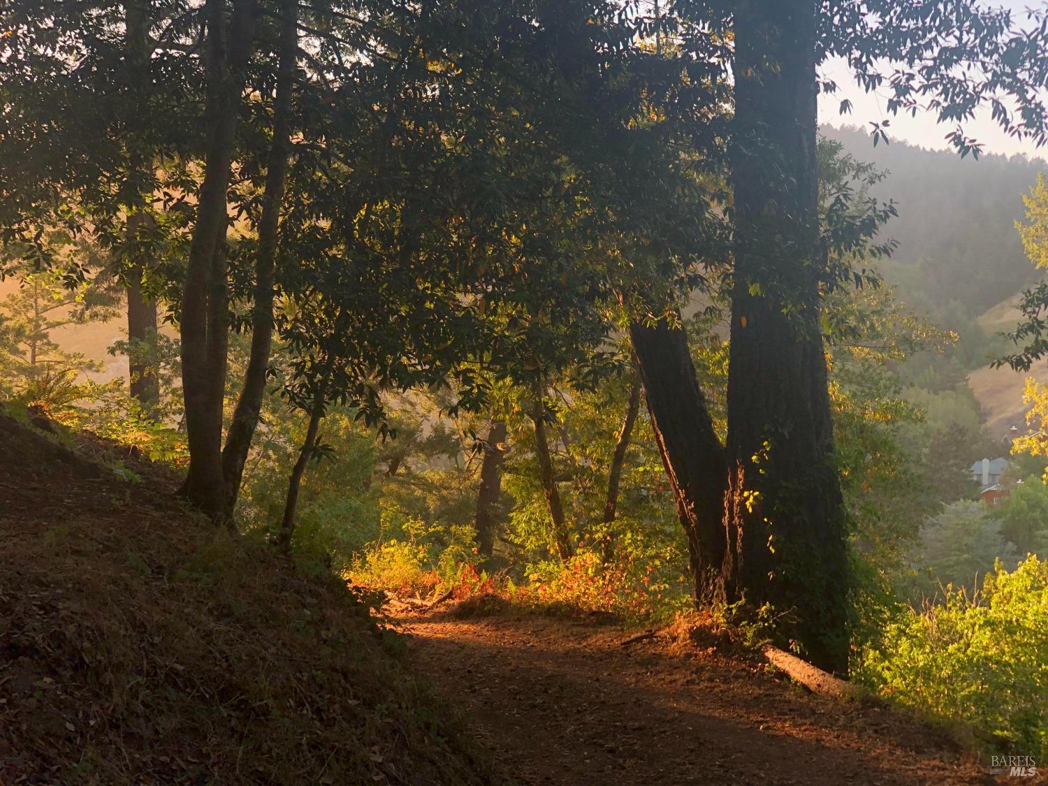 6451 Sir Francis Drake Blvd