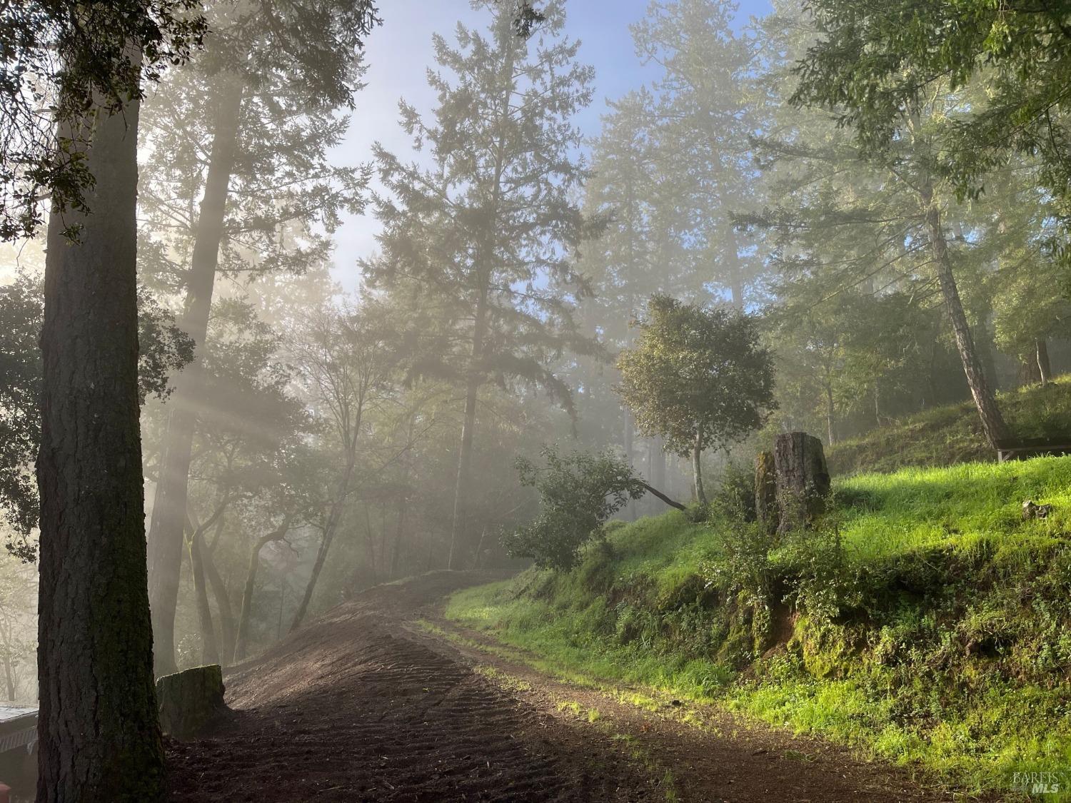 6451 Sir Francis Drake Blvd