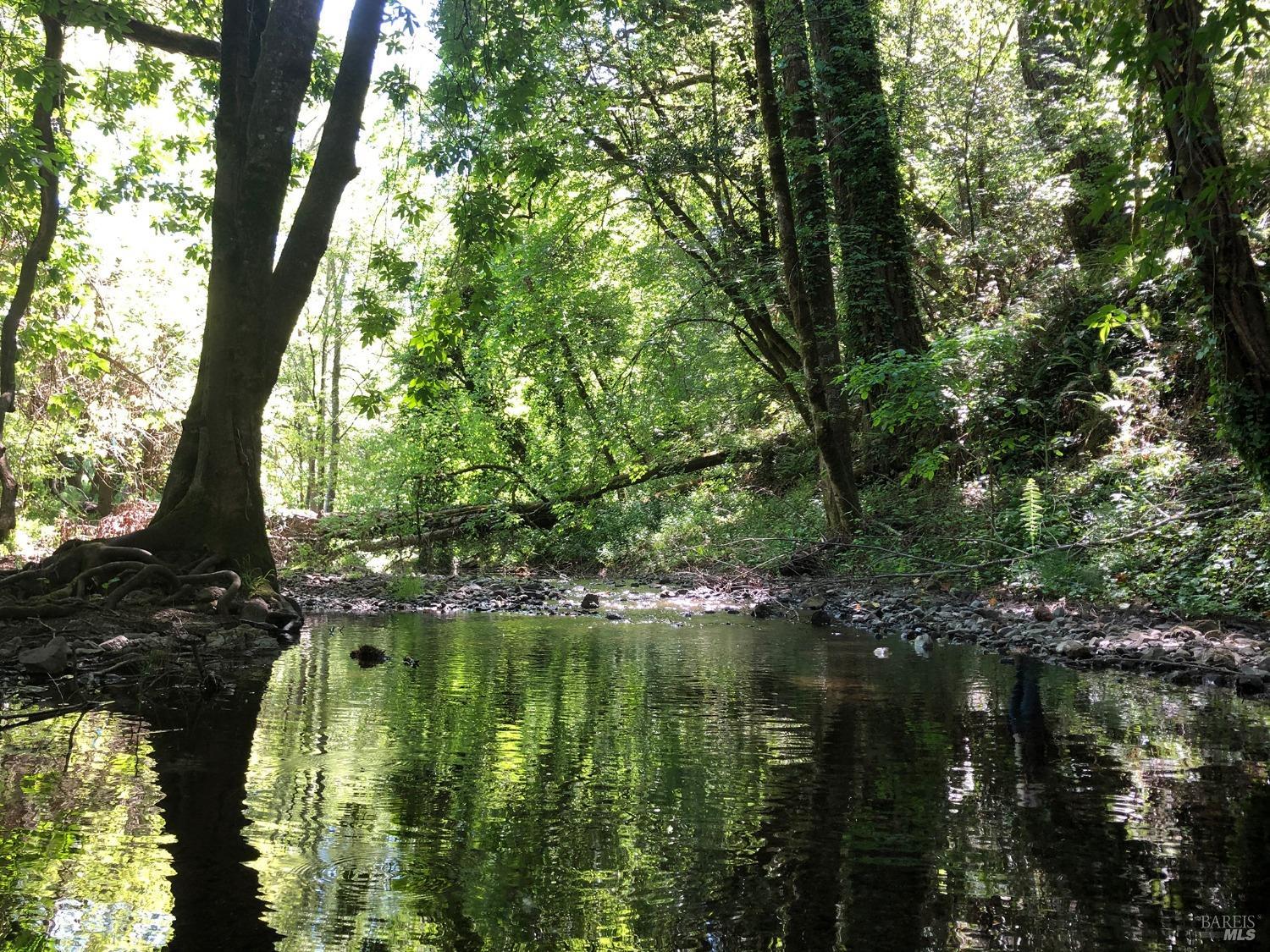 6451 Sir Francis Drake Blvd