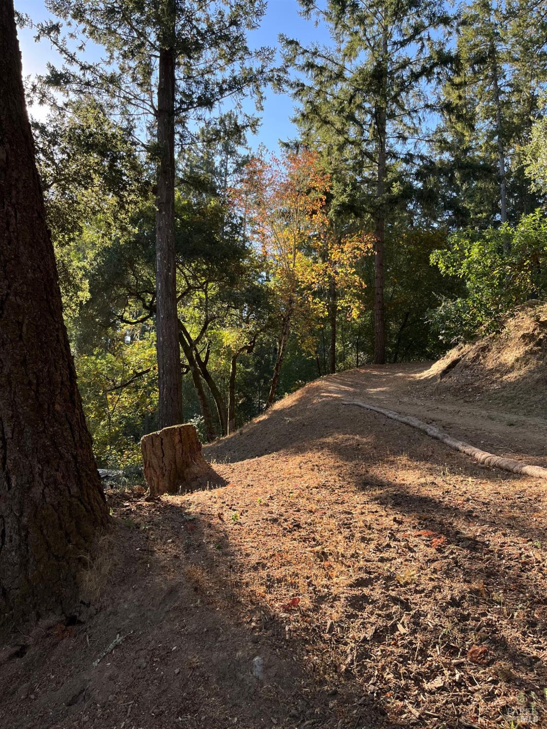 6451 Sir Francis Drake Blvd