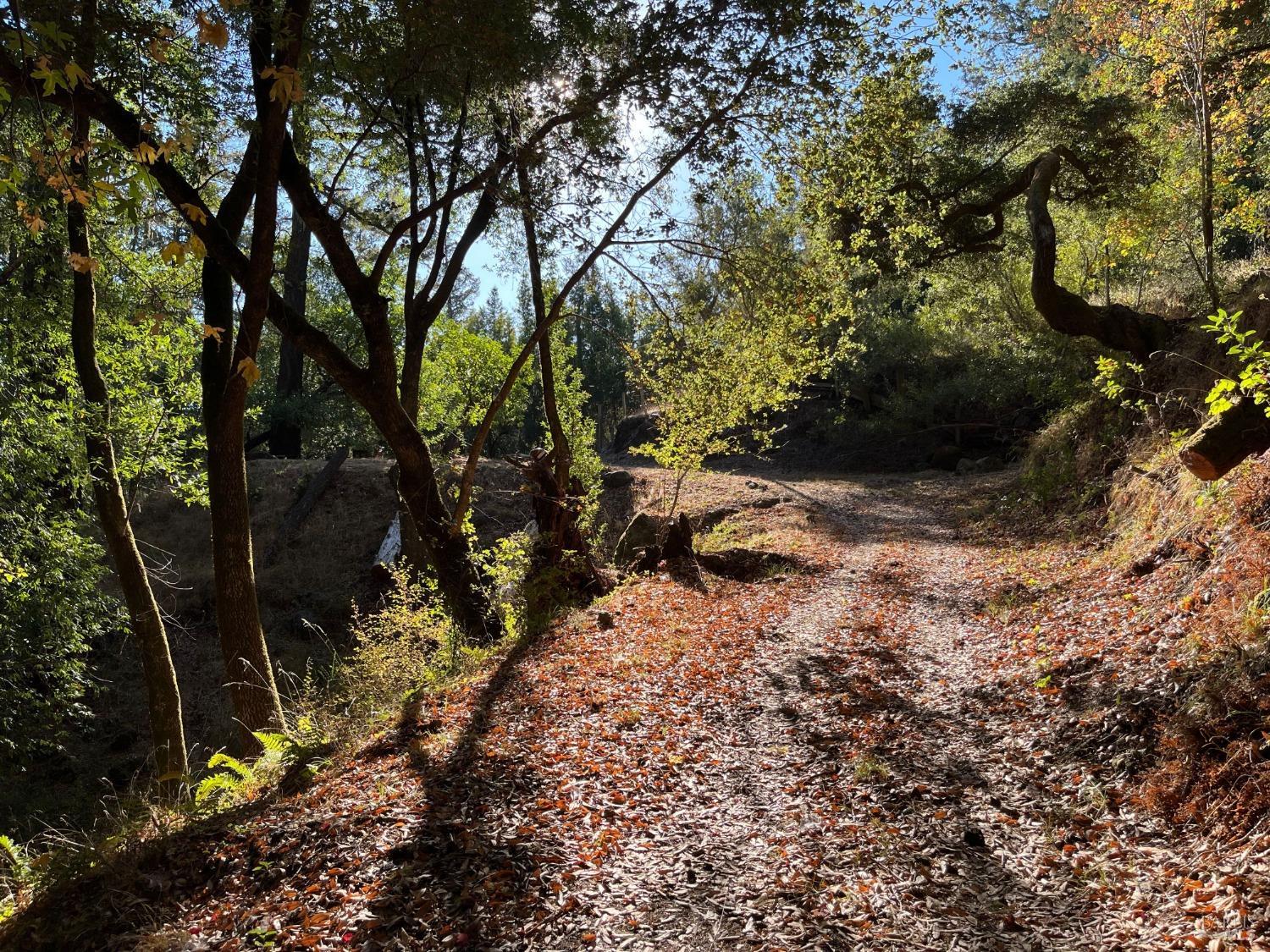 6451 Sir Francis Drake Blvd