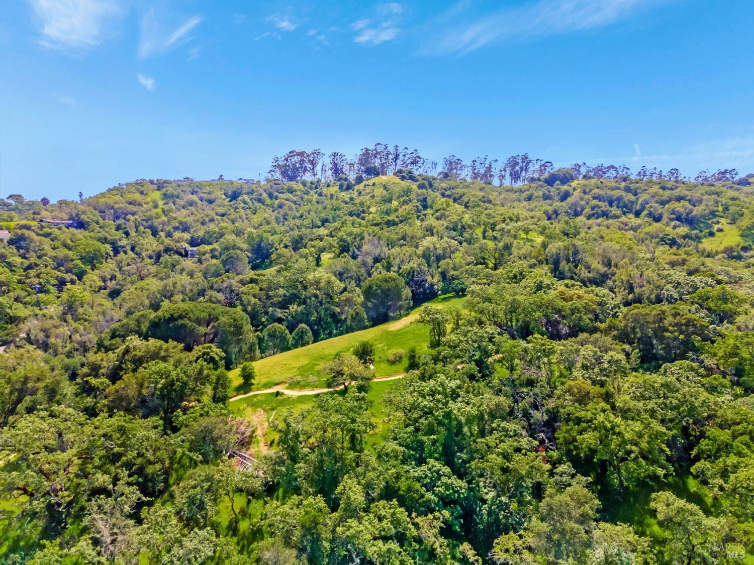 96 Golden Hinde Blvd