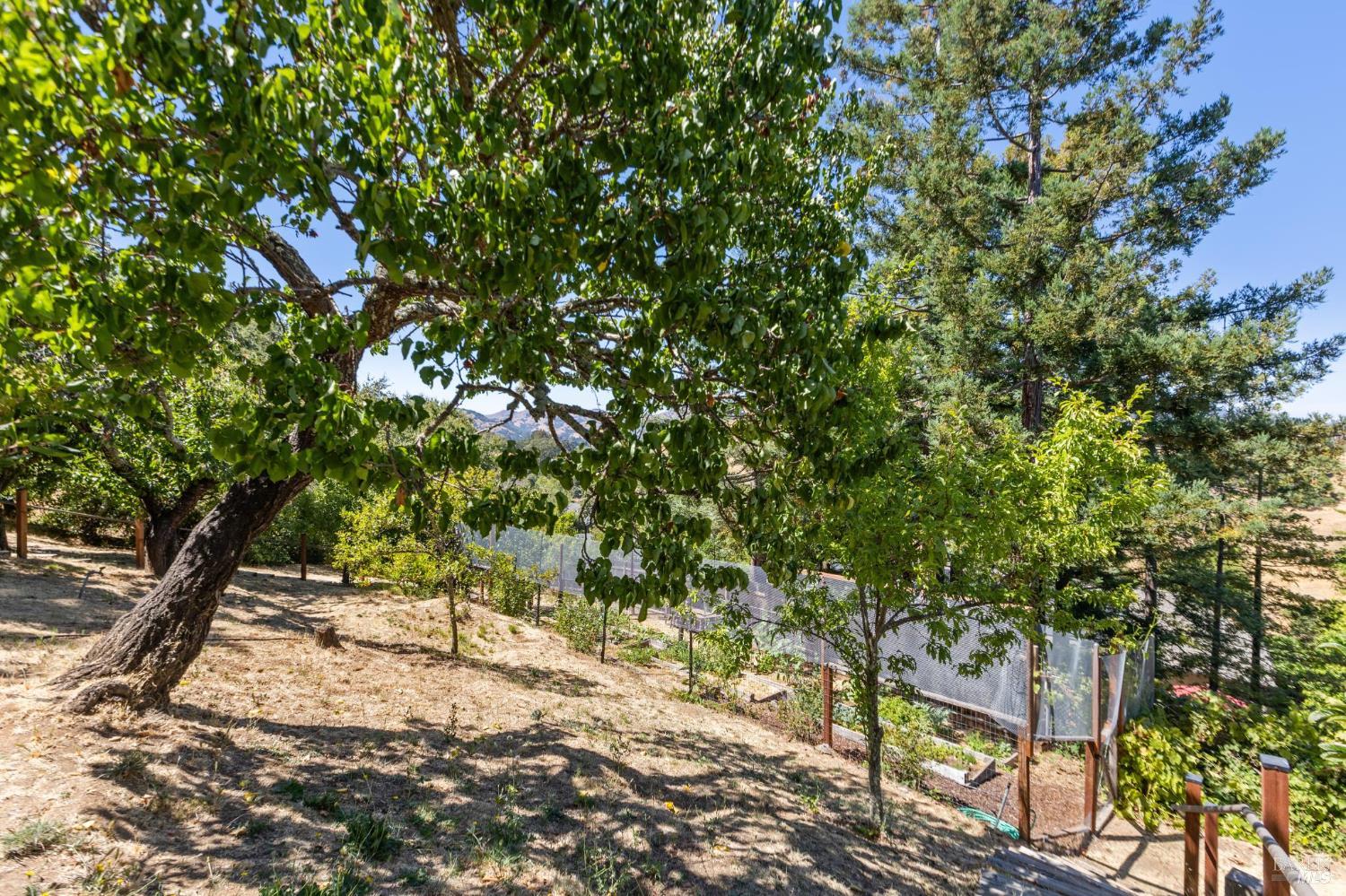 600 Canyon Rd