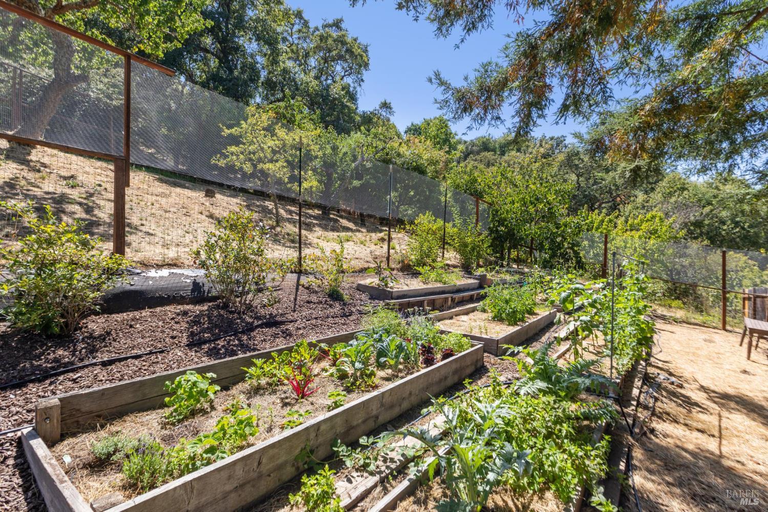 600 Canyon Rd