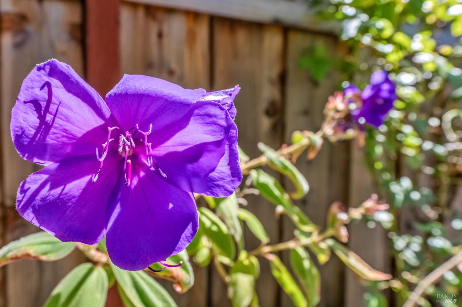 5 Bay Point Village Dr