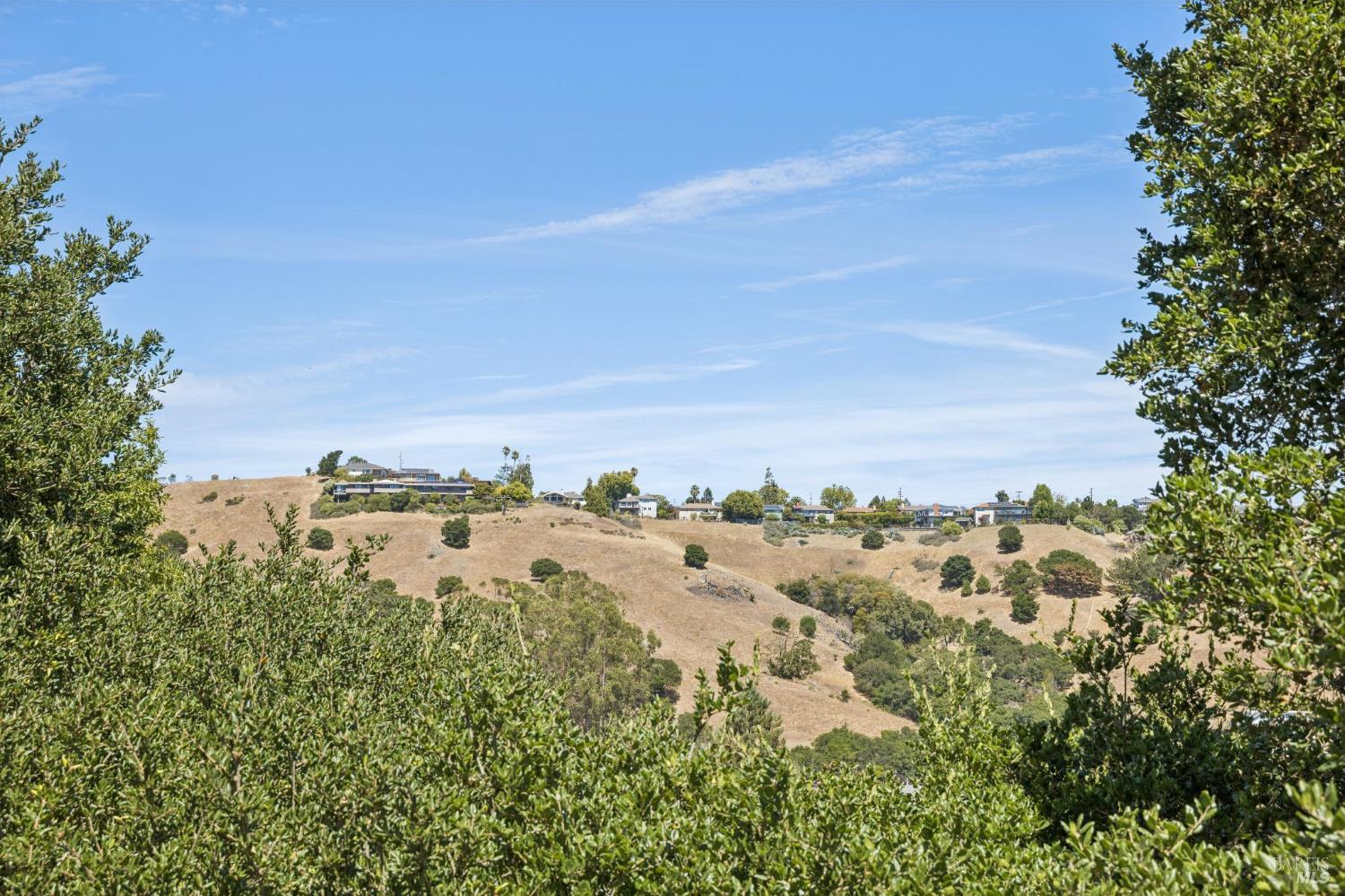 12 Longwood Drive