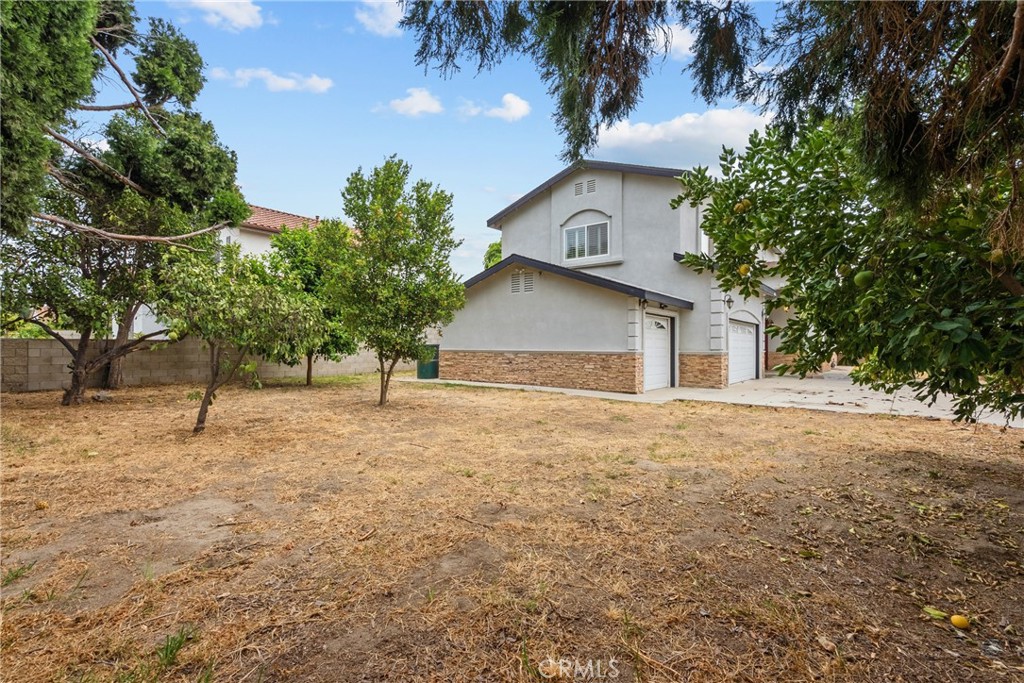 4216 Cedar