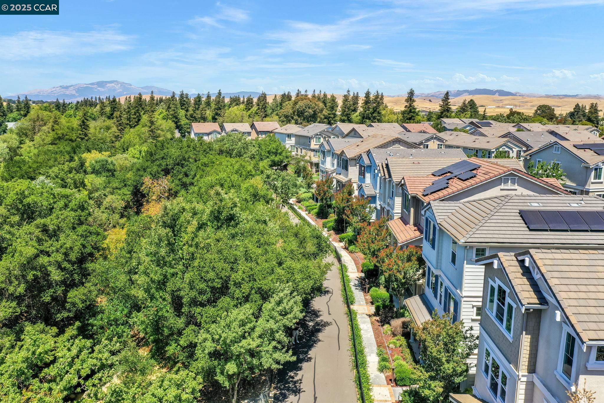 6983 Alamo Creek Trl
