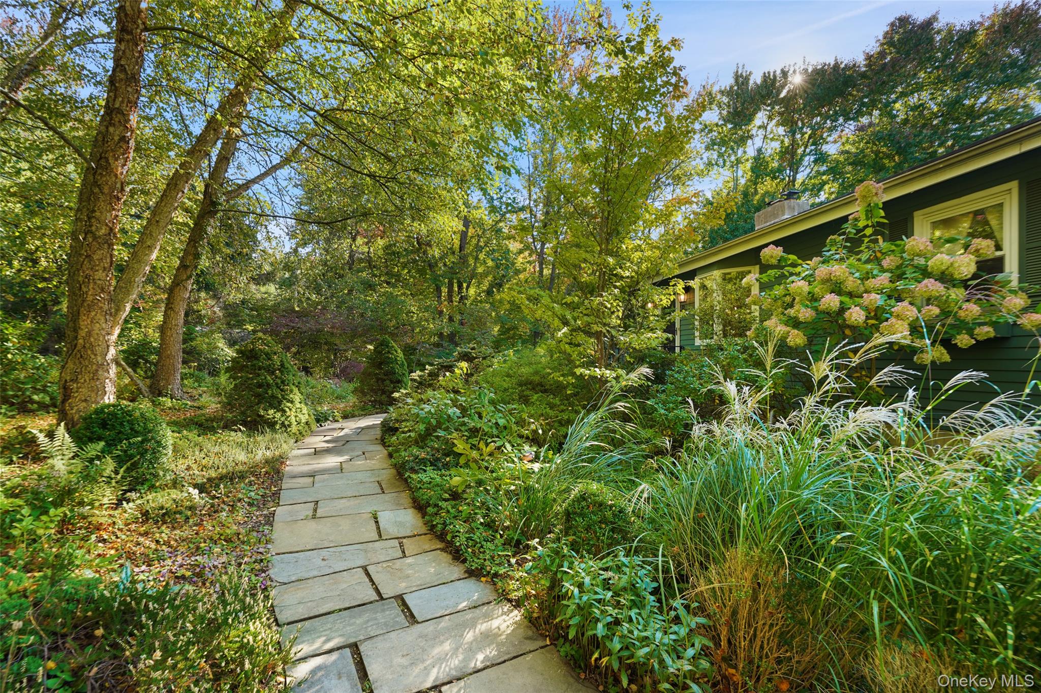 Dark green house beside a curving stone walkway through mature landscaping and flowering hydrangeas.