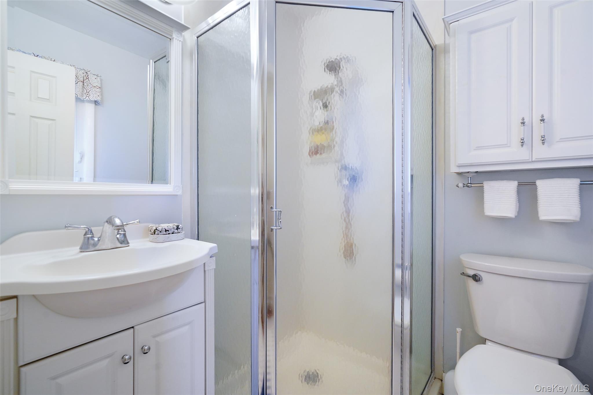 Bathroom with a frosted glass shower, white vanity, mirrored cabinet, and toilet.