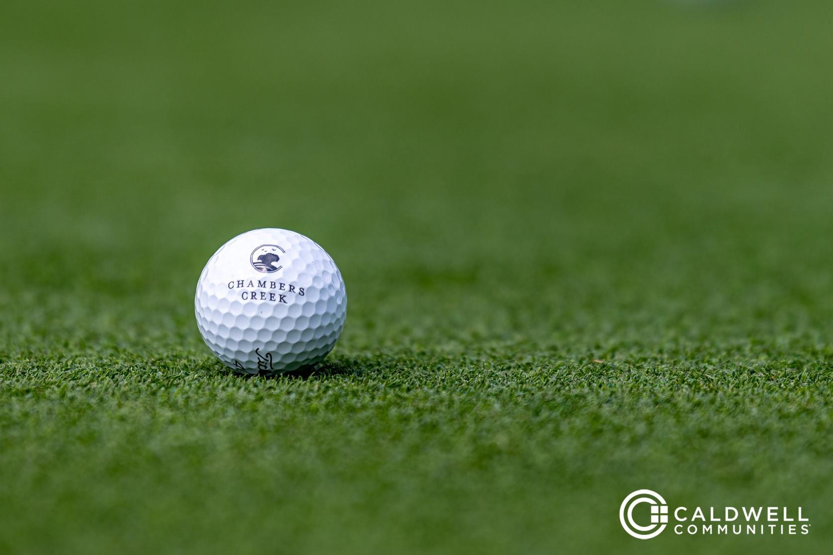 14233 Juniper Breeze Court