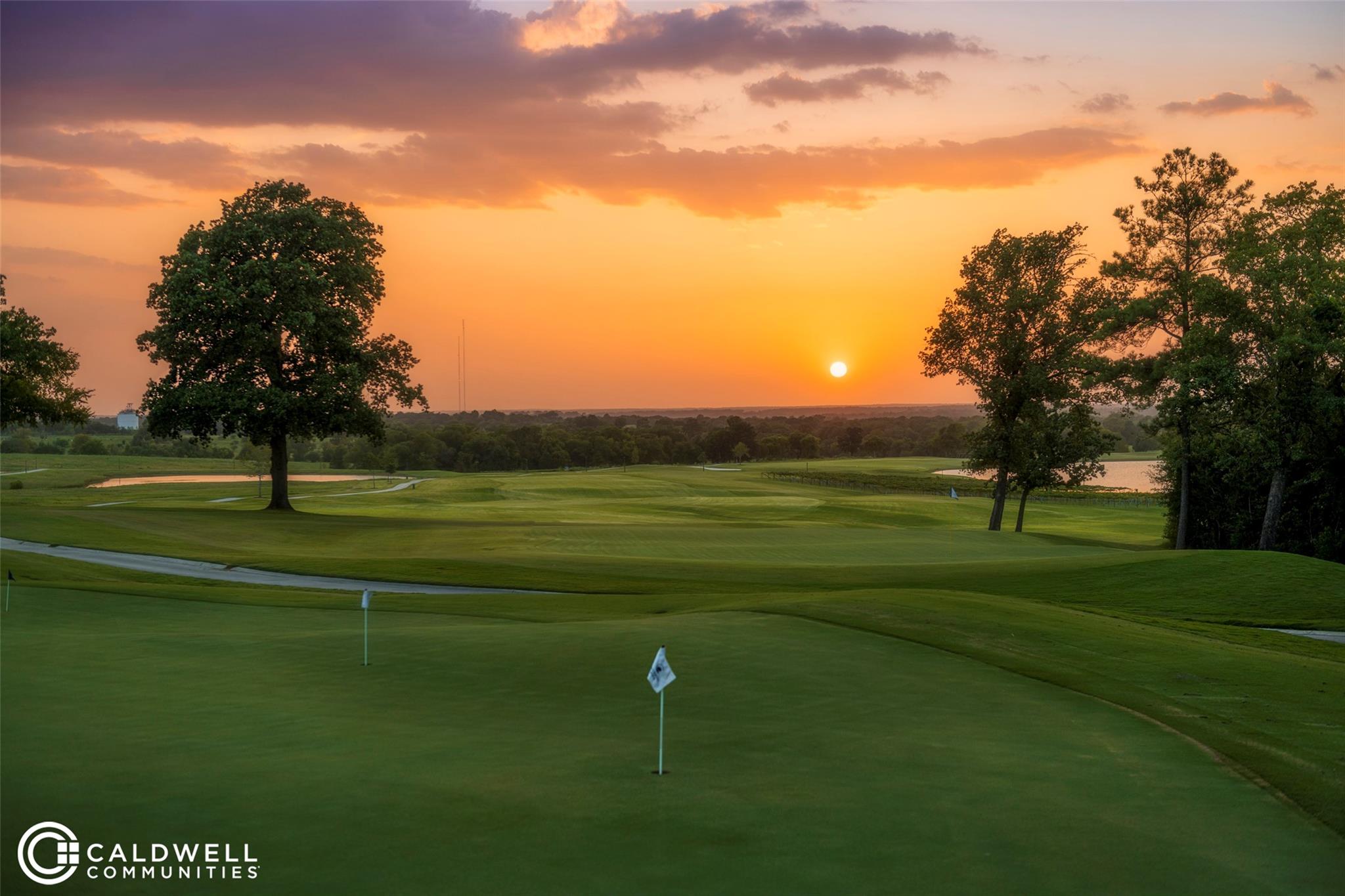 14233 Juniper Breeze Court