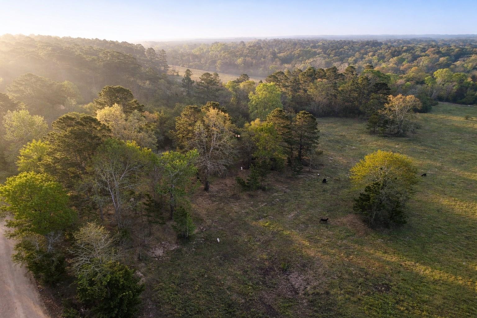 TBD Denson Allen Road