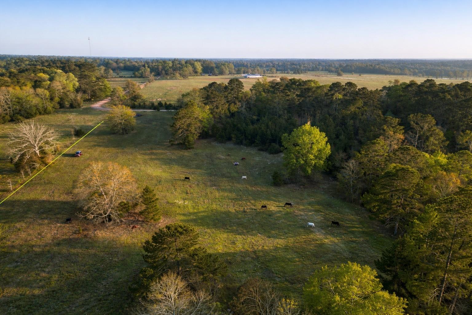 TBD Denson Allen Road