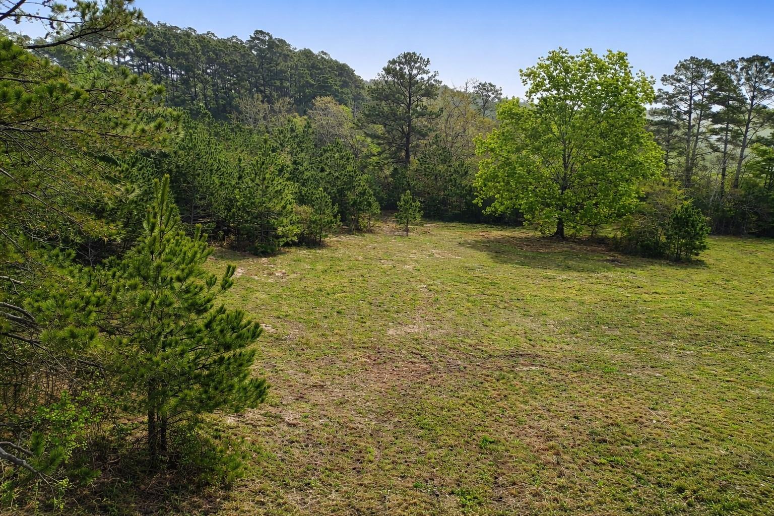 TBD Denson Allen Road